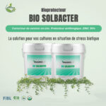 Boostez vos récoltes avec Bio Solbacter : Protection antifongique et correction de carence en zinc