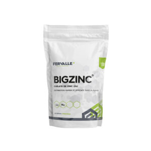 BIGZINC